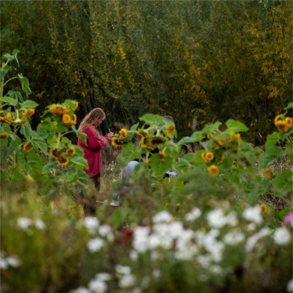 A student takes notes in a field of flowers at the Sustainable Agriculture Project.